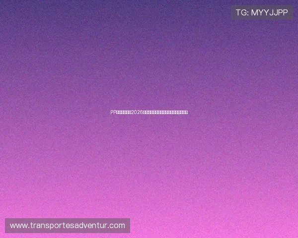 PP体育带你走进2026年世界杯明星球员的精彩表现与幕后故事